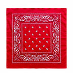 Cotton Paisley Bandana – view 9