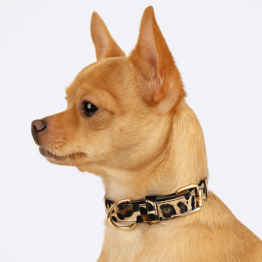 Leopard Print Dog Collar – view 2