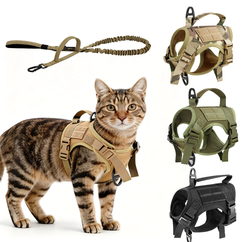 Tactical Cat Harness & Leash Set