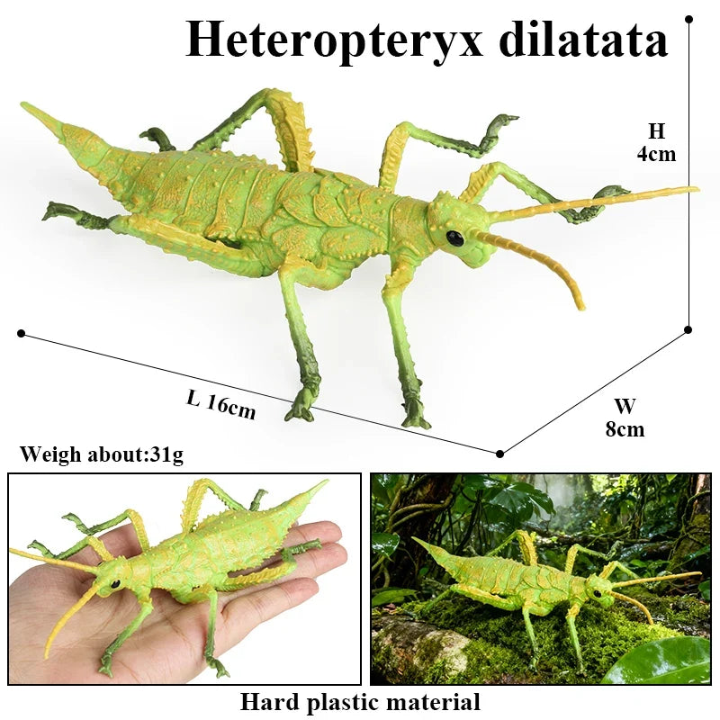 Realistic Insect Figurines Set – view 21