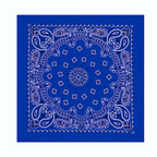 Cotton Paisley Bandana – view 13