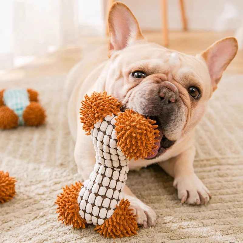 Squeaky Plush Dog Chew Toy